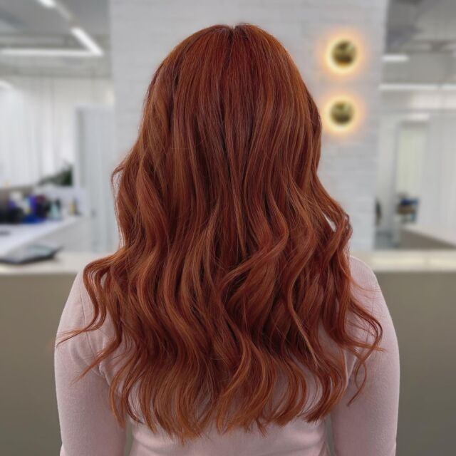 Tangerine 🍊 
Warm tone lover? Try one of 2023 popular color 🧡

Color correction from balayage to full bleach hair with @olaplex 

Hair maintenance with @milbon.japan Color Gadget - VALENCIA ORANGE color shampoo

#kami #kamisalon #kamihairgroup #damansaraperdana #petalingjaya #selangor #malaysia #hairsalonmalaysia #malaysiahairsalon #hairbyglenhew #hairbyjasonlim #samrestyle #tangerinehair #orangehair #copperhair #gingerhair #gingerhairgirl #orangehaircolor #copperhaircolor