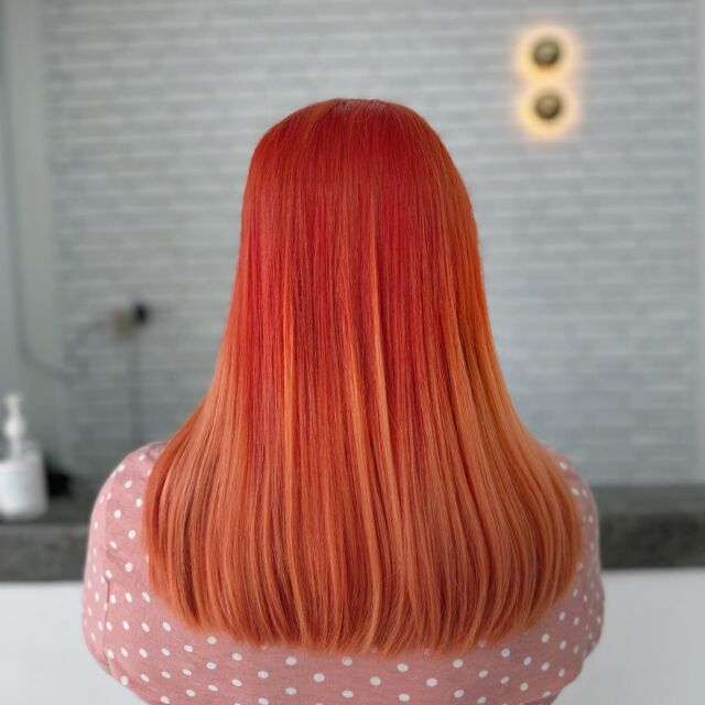 ORANGE OMBRÉ 🍊
Dimensional Warm tone lover? Try one of 2023 popular color with 2 tones effect 🧡

Bleach Hair with @olaplex 

Hair Color with @framesiofficial @framesimalaysia FPPP

Hair by @rachelkamisalon 

#kami #kamisalon #kamihairgroup #damansaraperdana #petalingjaya #selangor #malaysia #hairsalonmalaysia #malaysiahairsalon #hairbyglenhew #hairbyjasonlim #samrestyle #tangerinehair #orangehair #copperhair #gingerhair #gingerhairgirl #orangehaircolor #copperhaircolor #kamisalonsandakan #sandakan #sabah